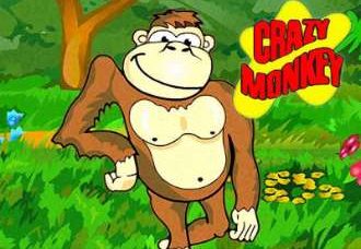 Crazy Monkey игровой автомат на реальные деньги